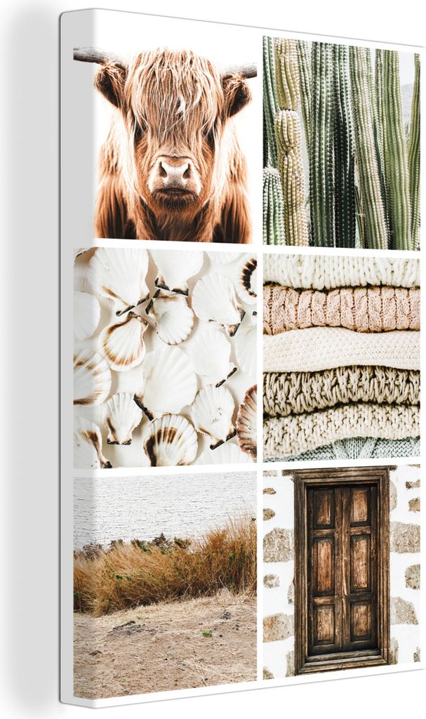 OneMillionCanvasses - Leinwandbilder - 90x140 cm, Schottisches Hochlandrind - Muscheln - Kaktus, Wandbilder Wohnzimmer Hochland Rind - Tier Wandd...