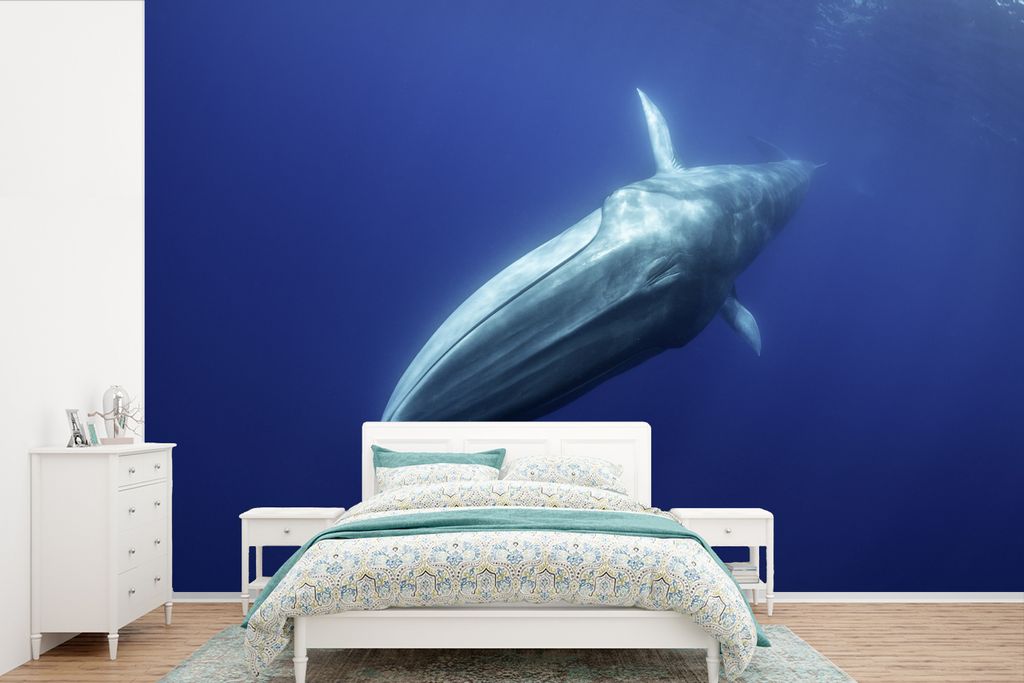 MuchoWow Fototapete für Wohnzimmer oder Schlafzimmer Wandtapete Vinyl Motivtapete Blauwal - Ozean - Wal - 450x300 cm - Gemusterte