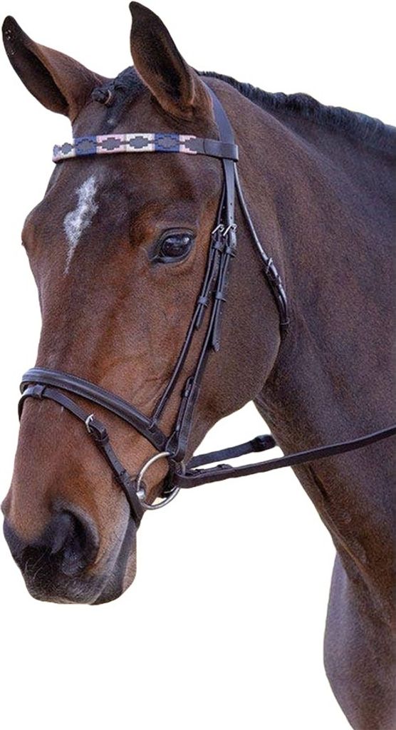 Blenheim - Pferde-Stirnriemen, Leder, Polo ER195 (Pony) (Pink/Naturfarben/Marineblau)