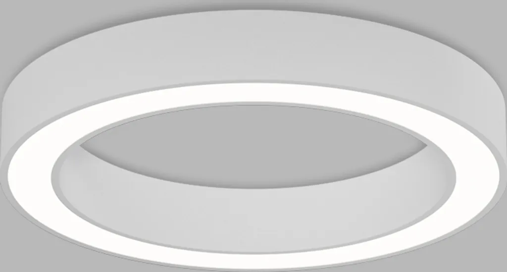 Éclairage de salon LED puissant 60cm plafonnier blanc 2CCT réglable