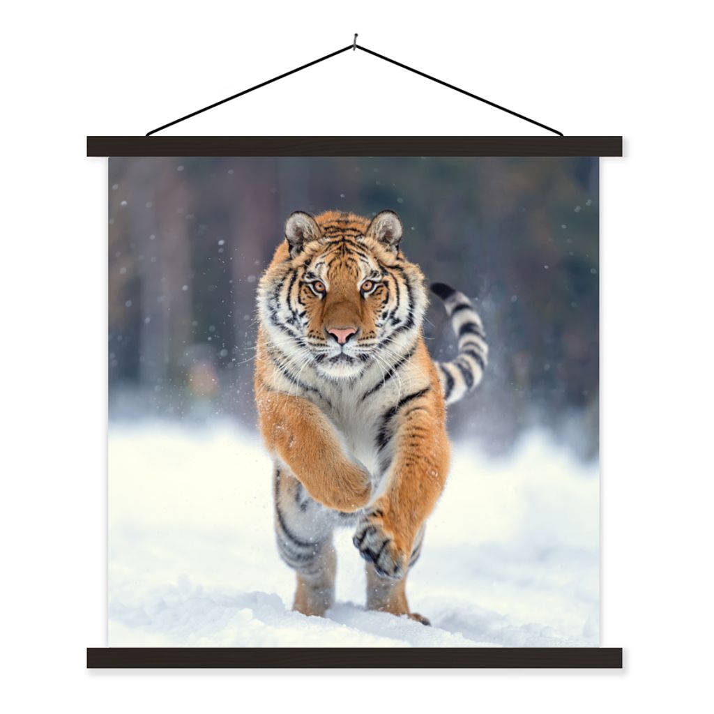 MuchoWow Textilposter Tiger - Landschaft - Schnee - Tiere 90x90 cm mit schwarzem Rahmen - Magnetisches