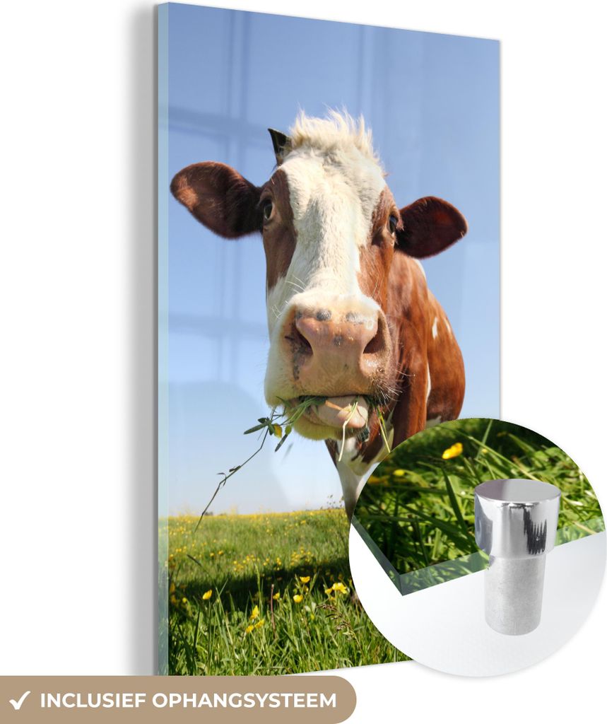 MuchoWow Glasbilder - Bilder auf Wandbild - Foto auf Glas Kuh - Tiere - Blumen - Gras 80x120 cm Wanddekoration aus Glas - Acrylglasbild - Acrylbild...