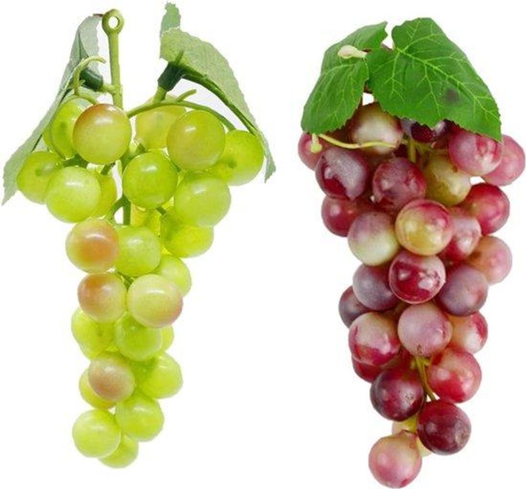 Gartenfrüchte für Dekoration - Grüne und rote Beeren - Hochzeitsgeschenke für die Familienküche