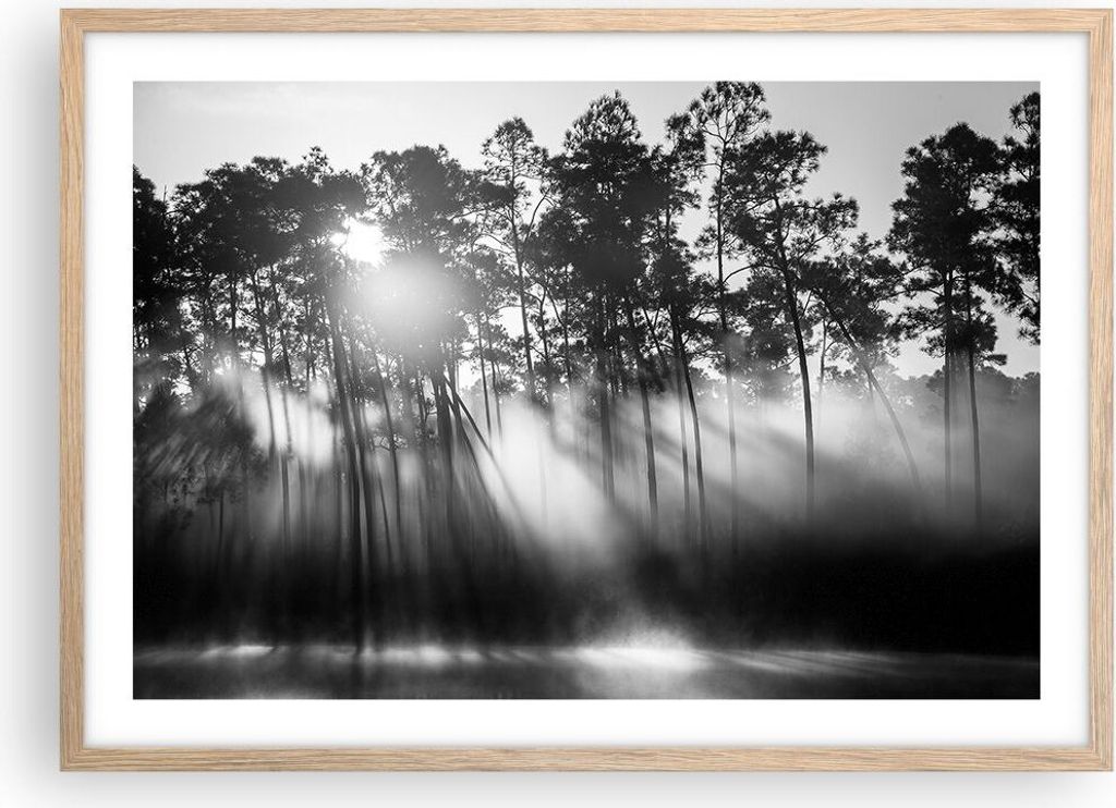 Gerahmtes Poster - Rahmen in heller Eiche - Wald Kiefer Sonne - 70x50 cm - Wand Bild - Wanddeko - Wandbilder - Kunstposter - Wandposter - Bilderrah...
