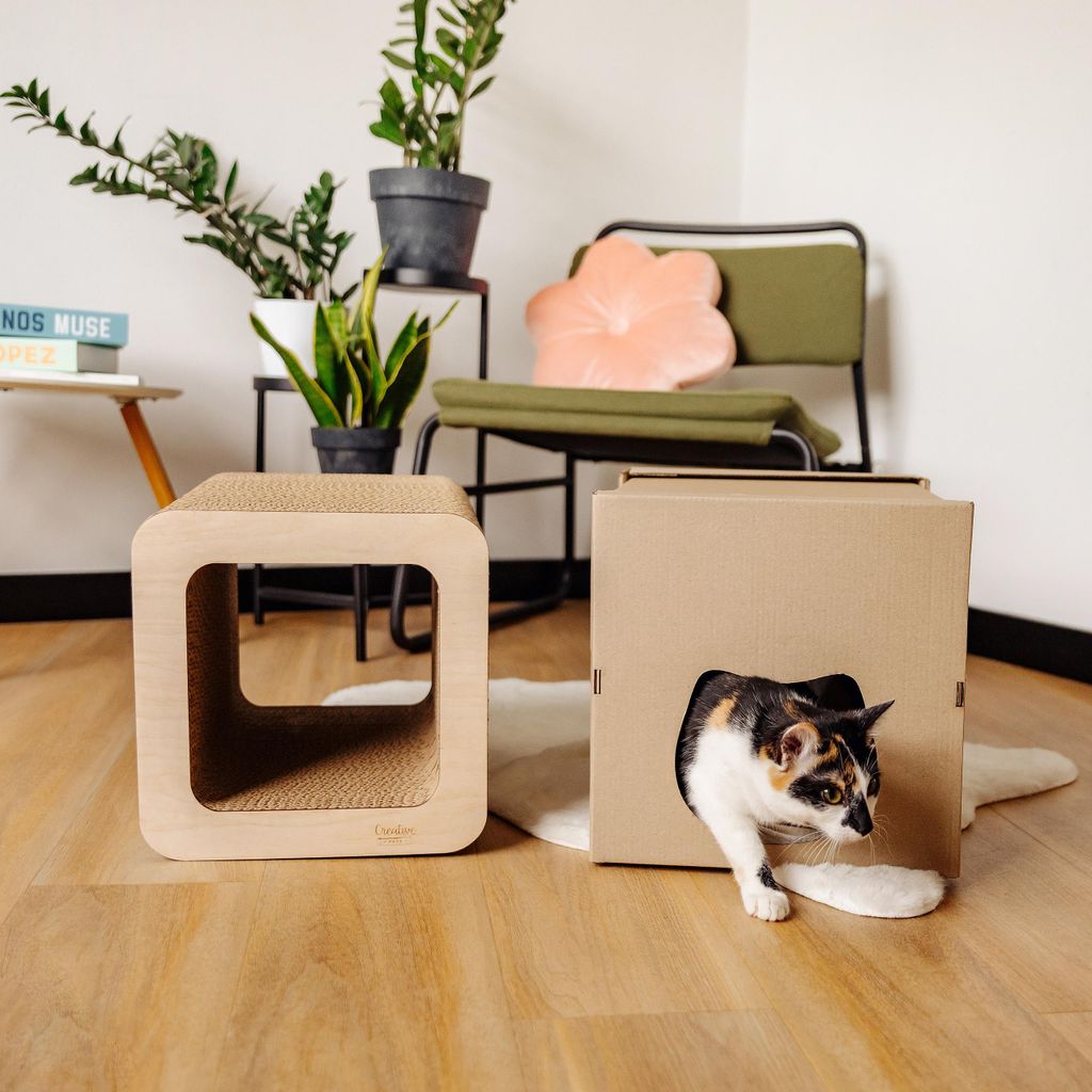 Creative Pets Tiragraffi Cartone per Gatti 37x30x30 | Immagine del prodotto 