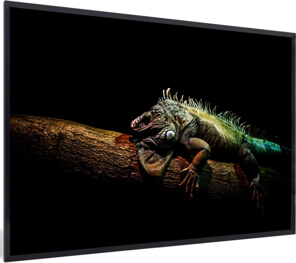 MuchoWow MuchoWow Gerahmtes Poster Tier - Zweig - Schwarz 60x40 cm - Poster mit zchwarzem Bilderrahmen - Printing - Wanddeko Schlafzimmer