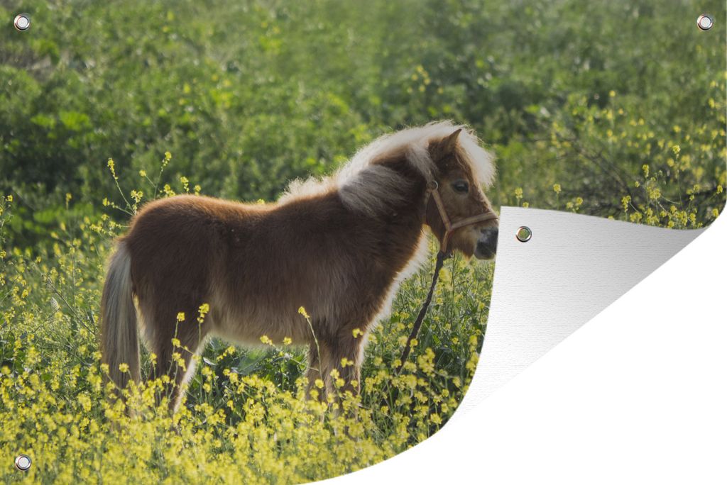 MuchoWow 90x60 cm Outdoor-Poster Gartendeko Sichtschutz Garten Poster für den Garten Porträt eines Ponys auf der Weide