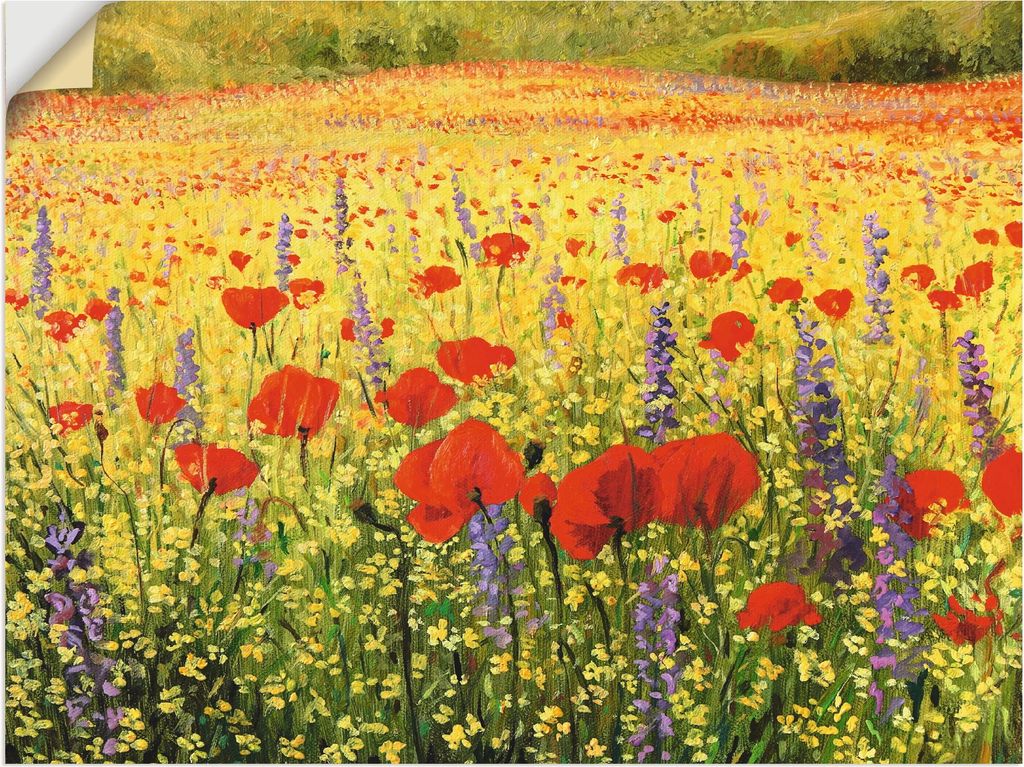 ARTland Wandbild, selbstklebend Mohnblumenfeld Größe: 60x45 cm