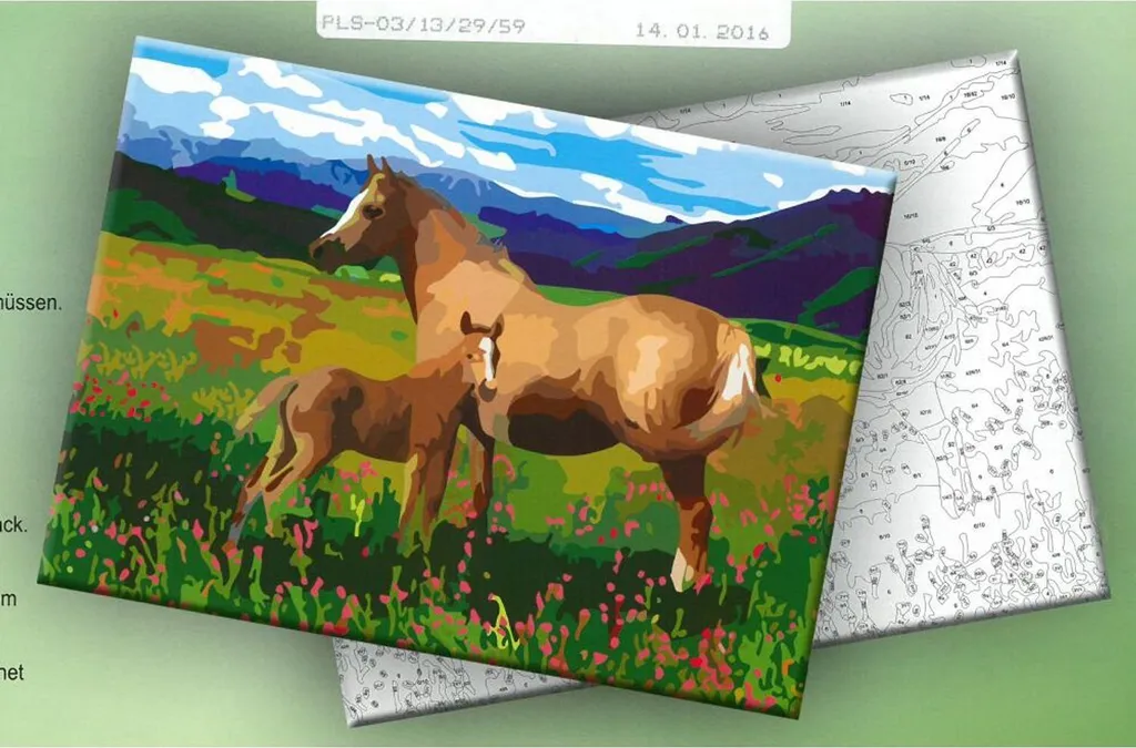 Set 24 Peinture par Numéros Enfant avec Peinture Acrylique et Pinceaux