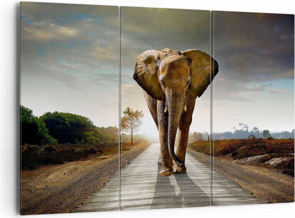 Bild auf Leinwand - Leinwandbild - Elefant Straße Landschaft - 165x110cm - Wand Bild - Wanddeko - Leinwanddruck - Bilder - Kunstdruck - Wanddekora...