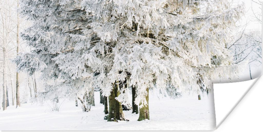 MuchoWow Poster Winter - Schnee - Baum 40x20 cm - Poster für die Wand - Poster Schlafzimmer