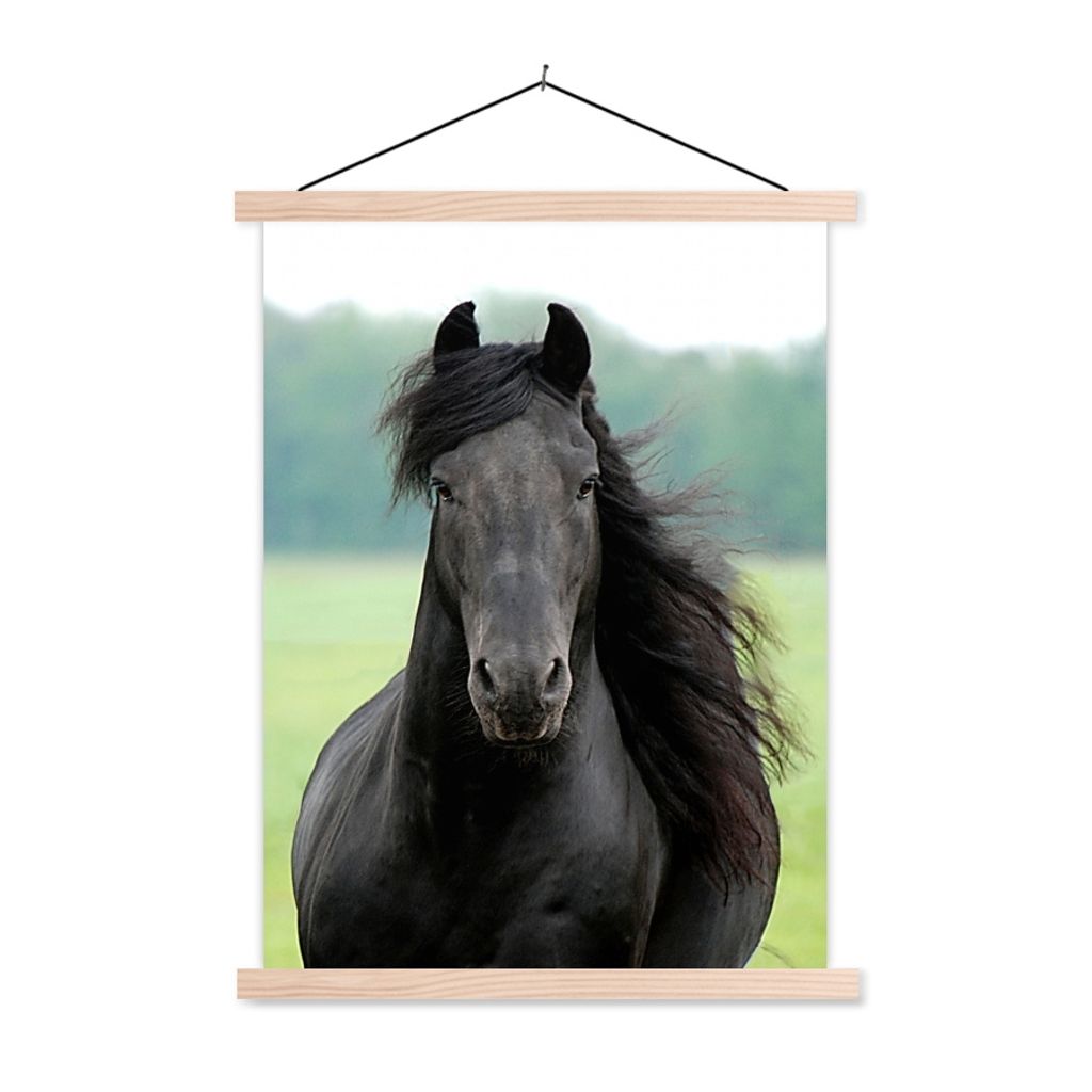 MuchoWow Textilposter Friesisch - Pferd - Gras 40x53 cm mit holzfarbenen Rahmen - Schlafzimmer