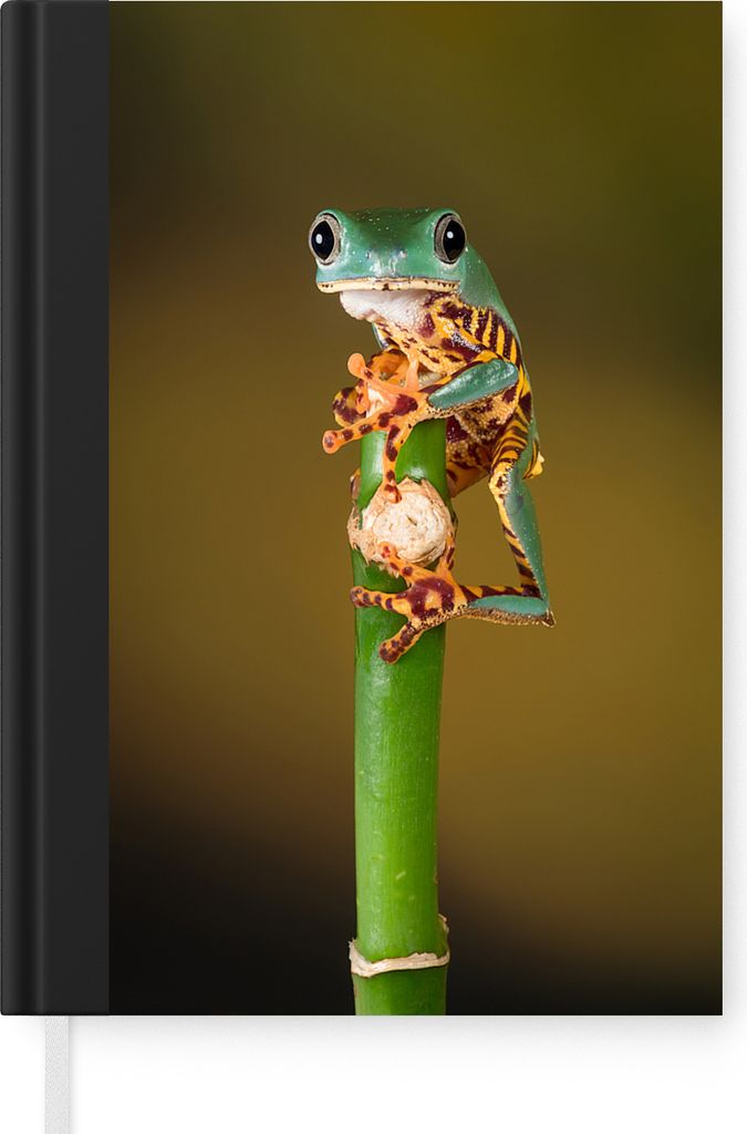 MuchoWow Notizbuch Tagebuch Haushaltsbuch Notebook A5 Frosch auf grüner Pflanze, Nahaufnahme - Notizblock - Notizheft - Notebook - Schreibblock ...