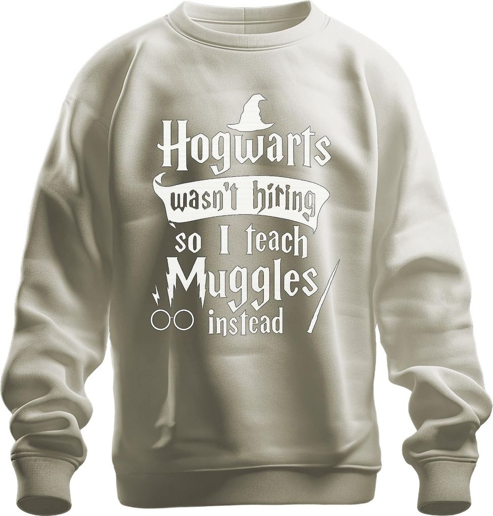 Hogwarts was niet op zoek naar nieuwe docenten, dus geef ik Productafbeelding 