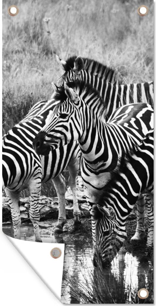 MuchoWow 40x80 cm Outdoor-Poster Gartendeko Sichtschutz Garten Poster für den Garten Trinkende Zebras
