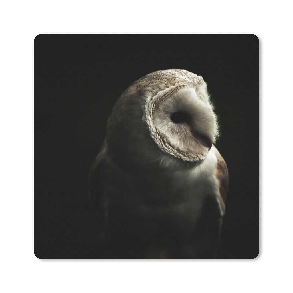 MuchoWow Mauspad Mousepad Eule - Vogel - Porträt 30x30 cm - Mousepads - Maus Mat - Pad - Mausunterlage - Gaming