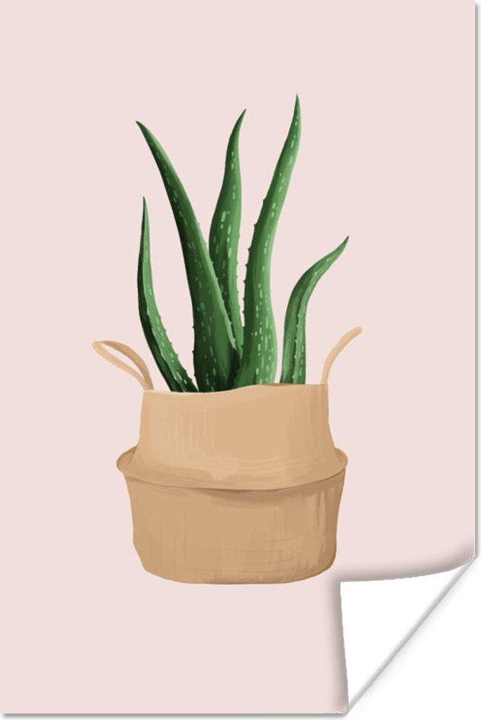 MuchoWow Poster Pflanzen - Aloe Vera - Pastell - Rosa 20x30 cm - Papierdruck