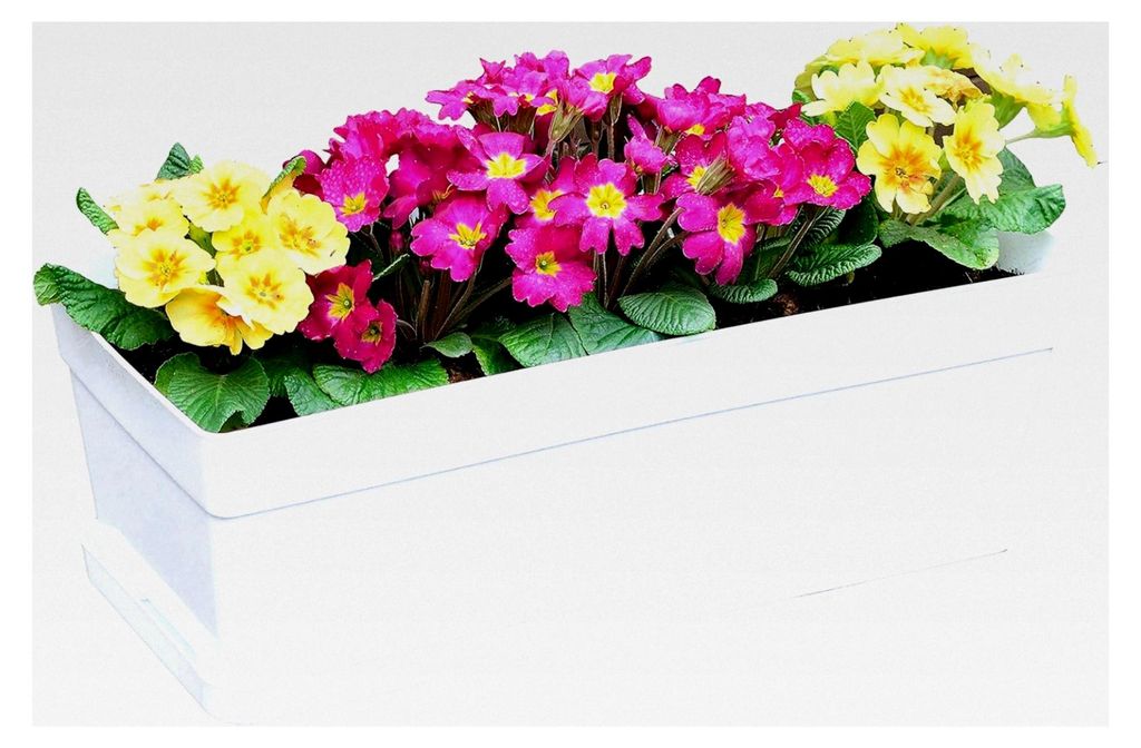 3er Set 38,1 cm Kunststoff Fensterbox Pflanzgefäß Blumenkasten mit befestigtem Tablett für Fensterbank Garten Balkon weiß