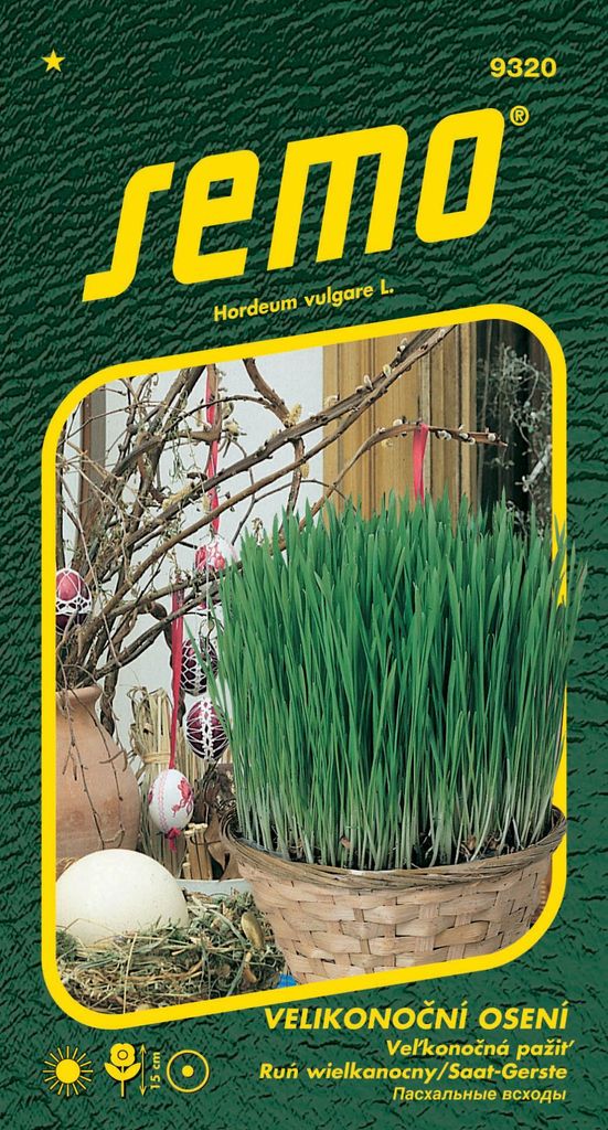 Samen - Ostergras