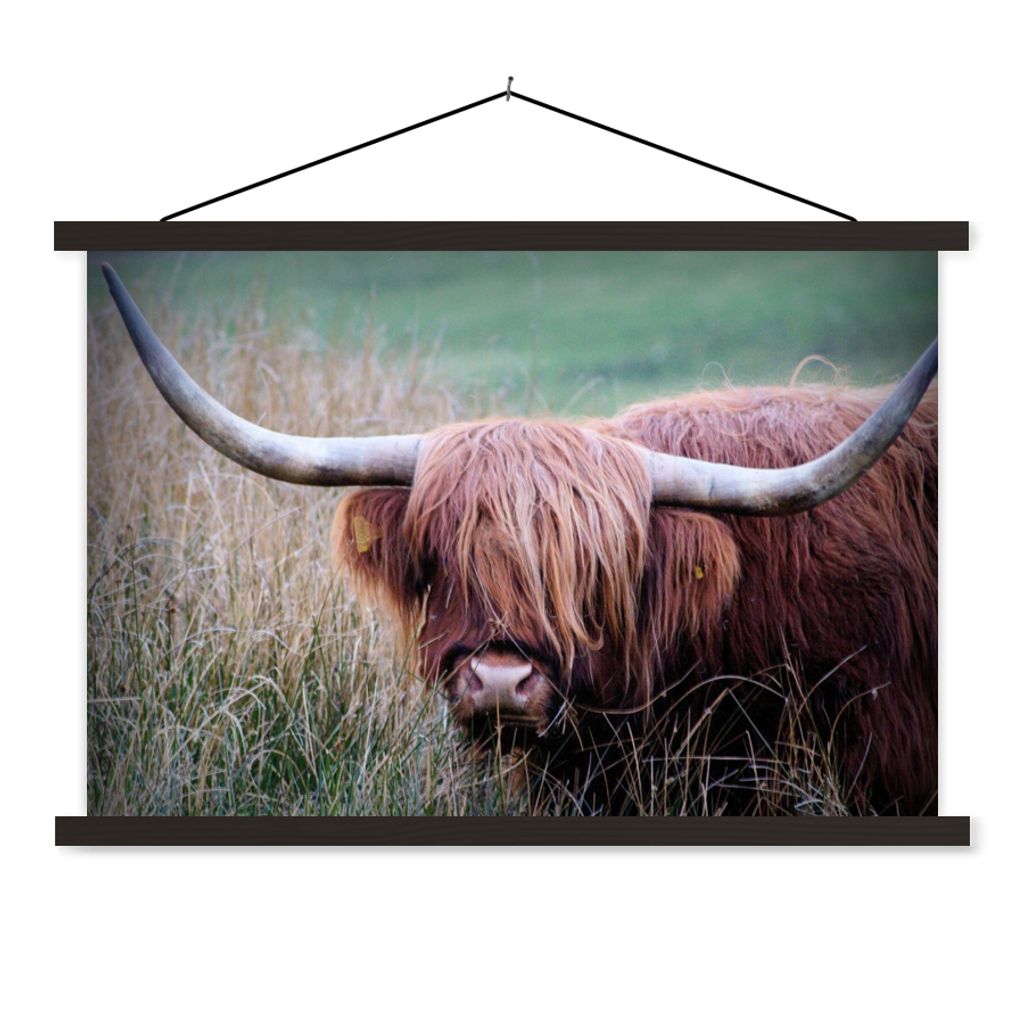 MuchoWow Textilposter Schottischer Highlander - Hörner - Gras 60x40 cm mit schwarzem Rahmen - Hölzernes