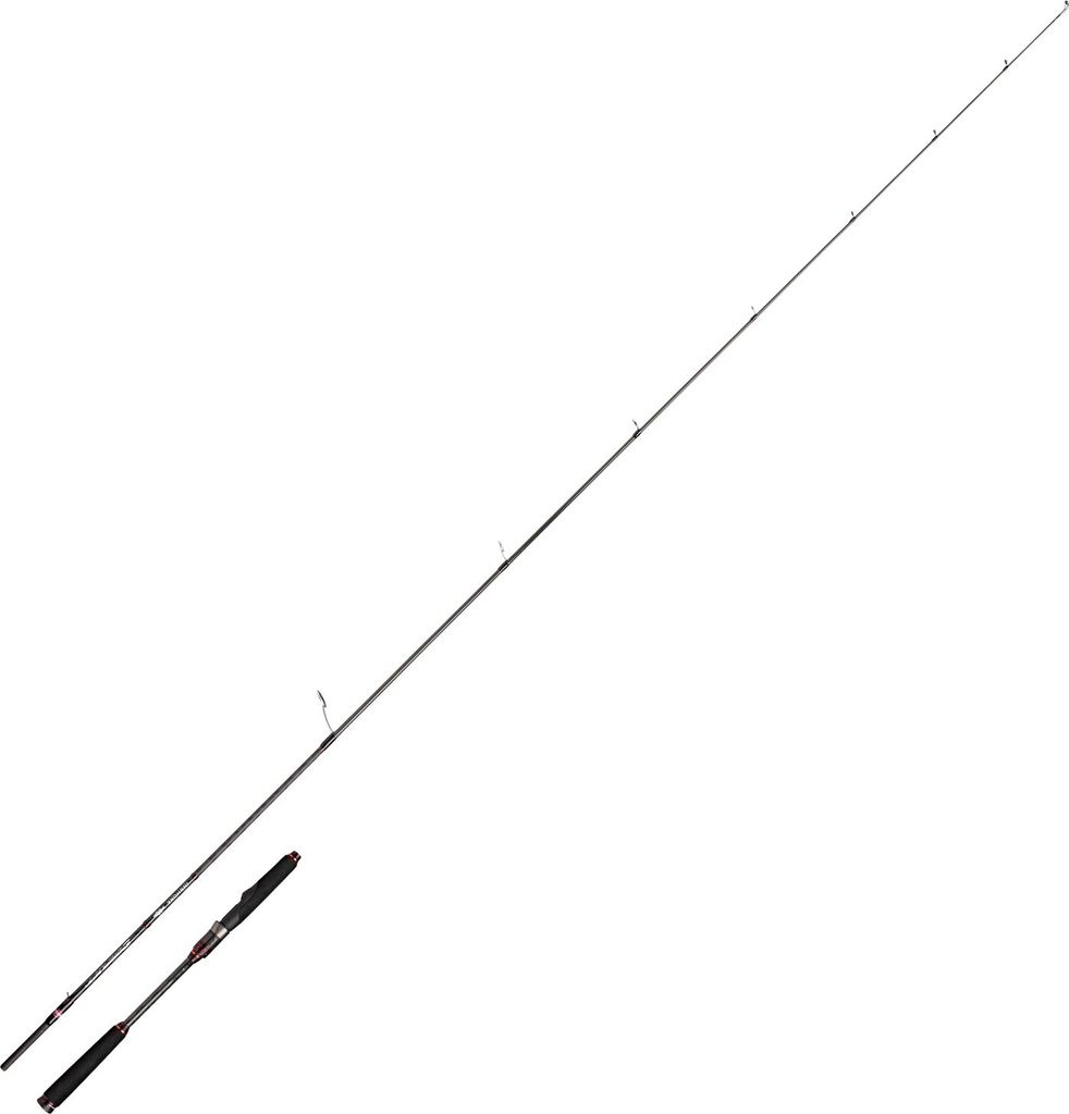Penn Raubfischrute Conflict Inshore Spinning Rod