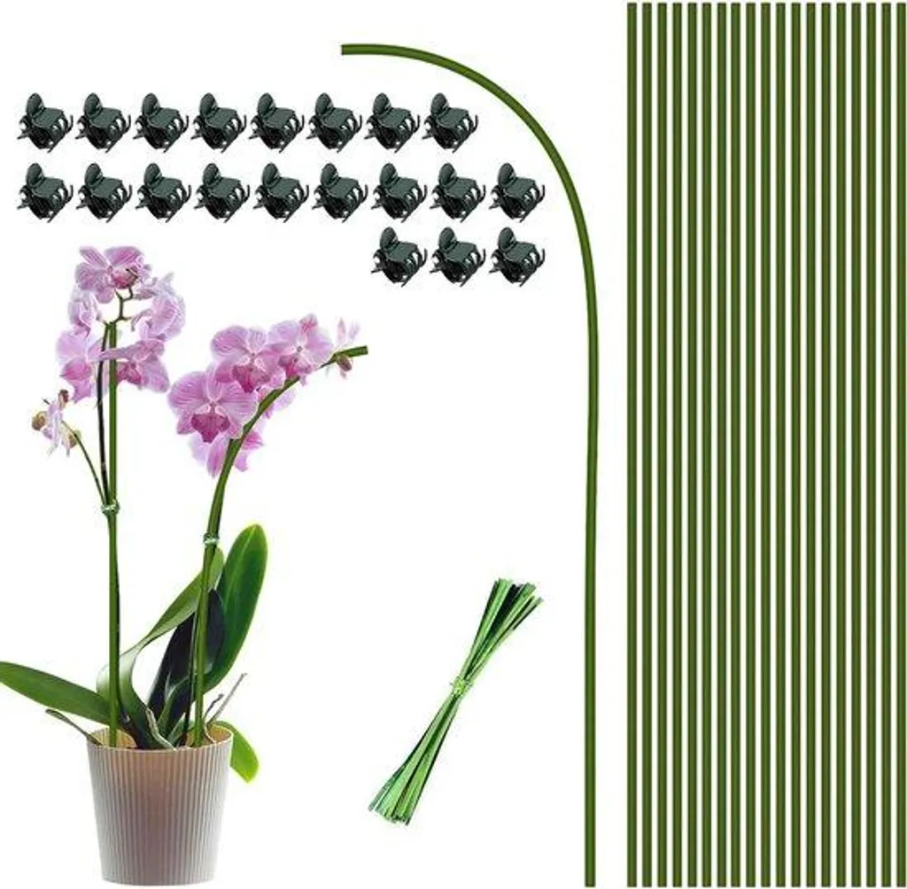 Supports pour plantes robustes avec 60 pinces et tuteurs en bambou vert