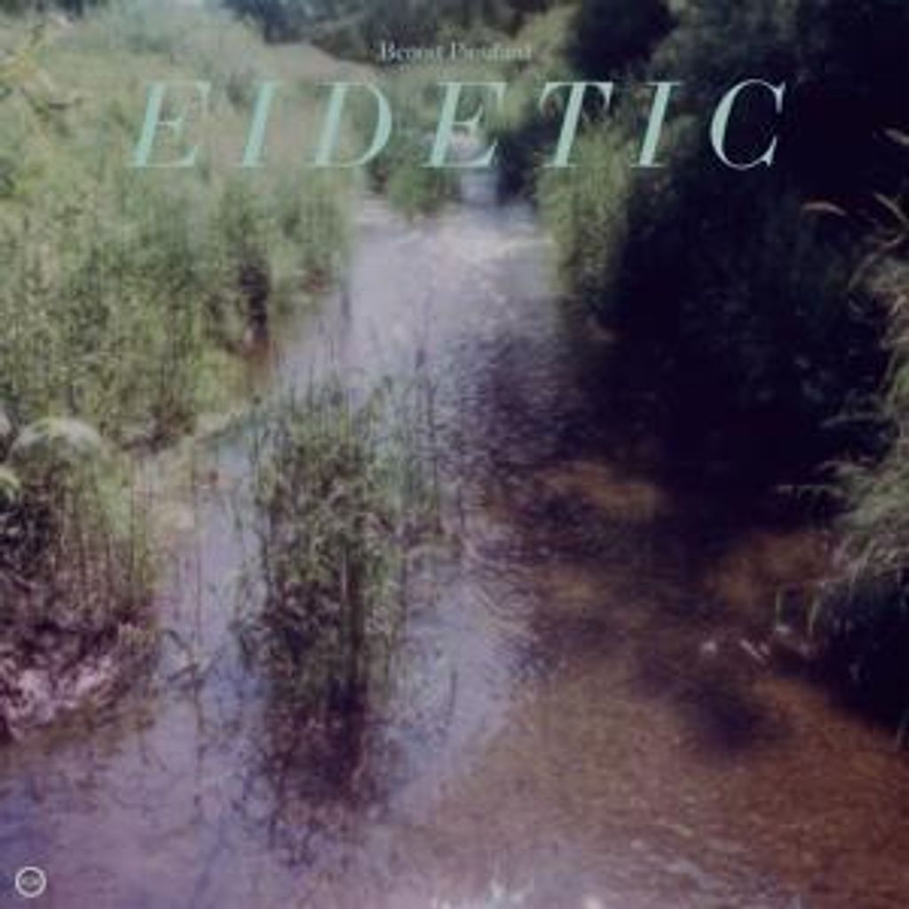 Eidetic
