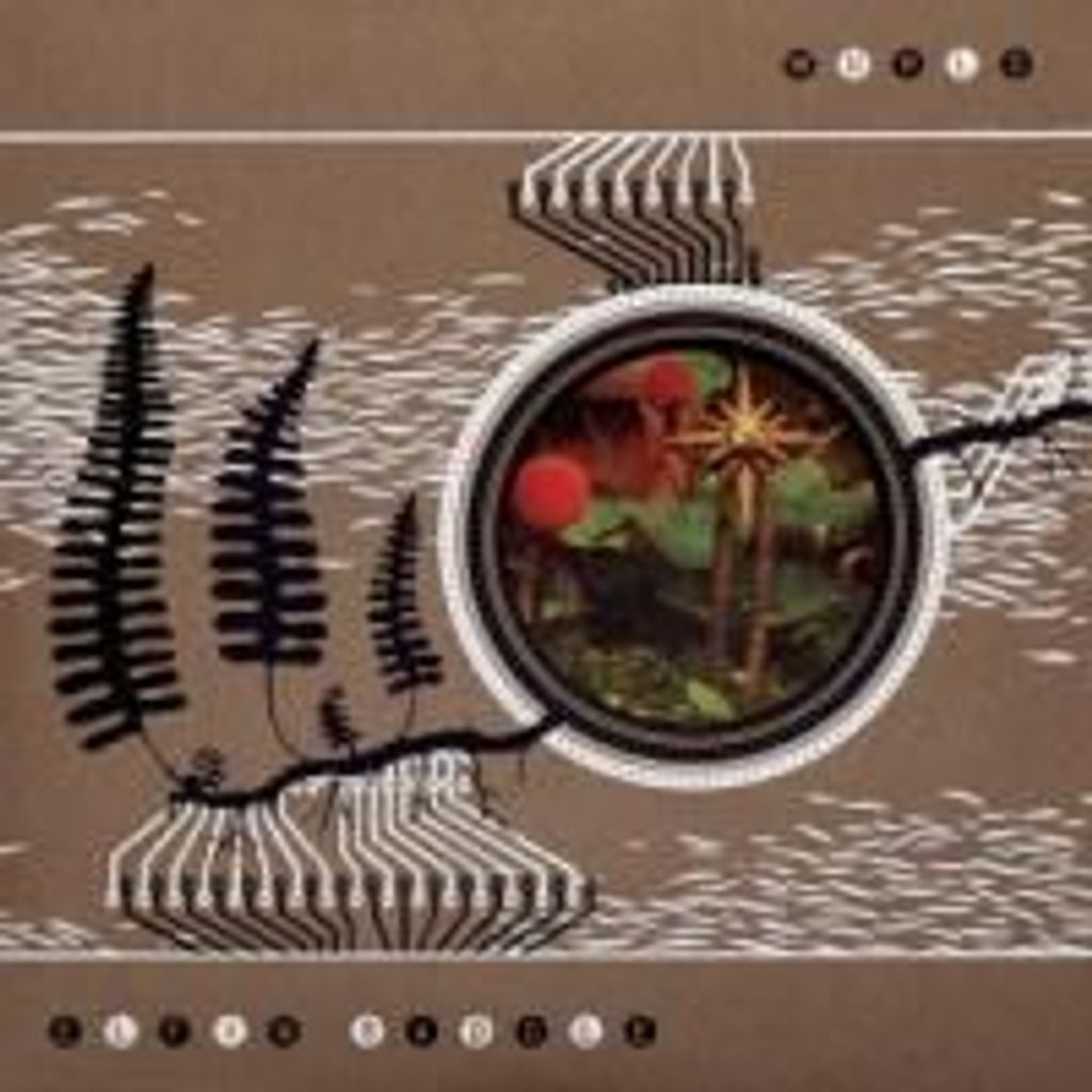 Elfin Saddle-Wurld