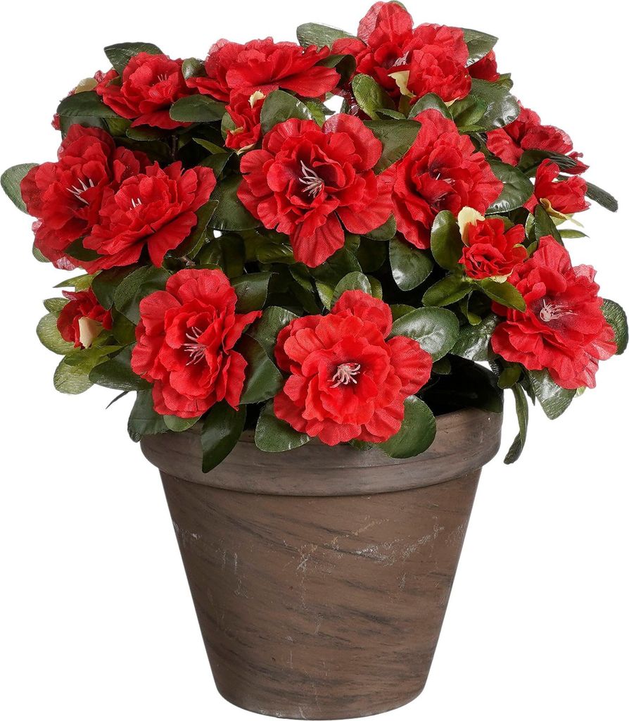 Mica Decorations Azalee Kunstpflanze im Blumentopf Stan - H31 x Ø26 cm - Rot
