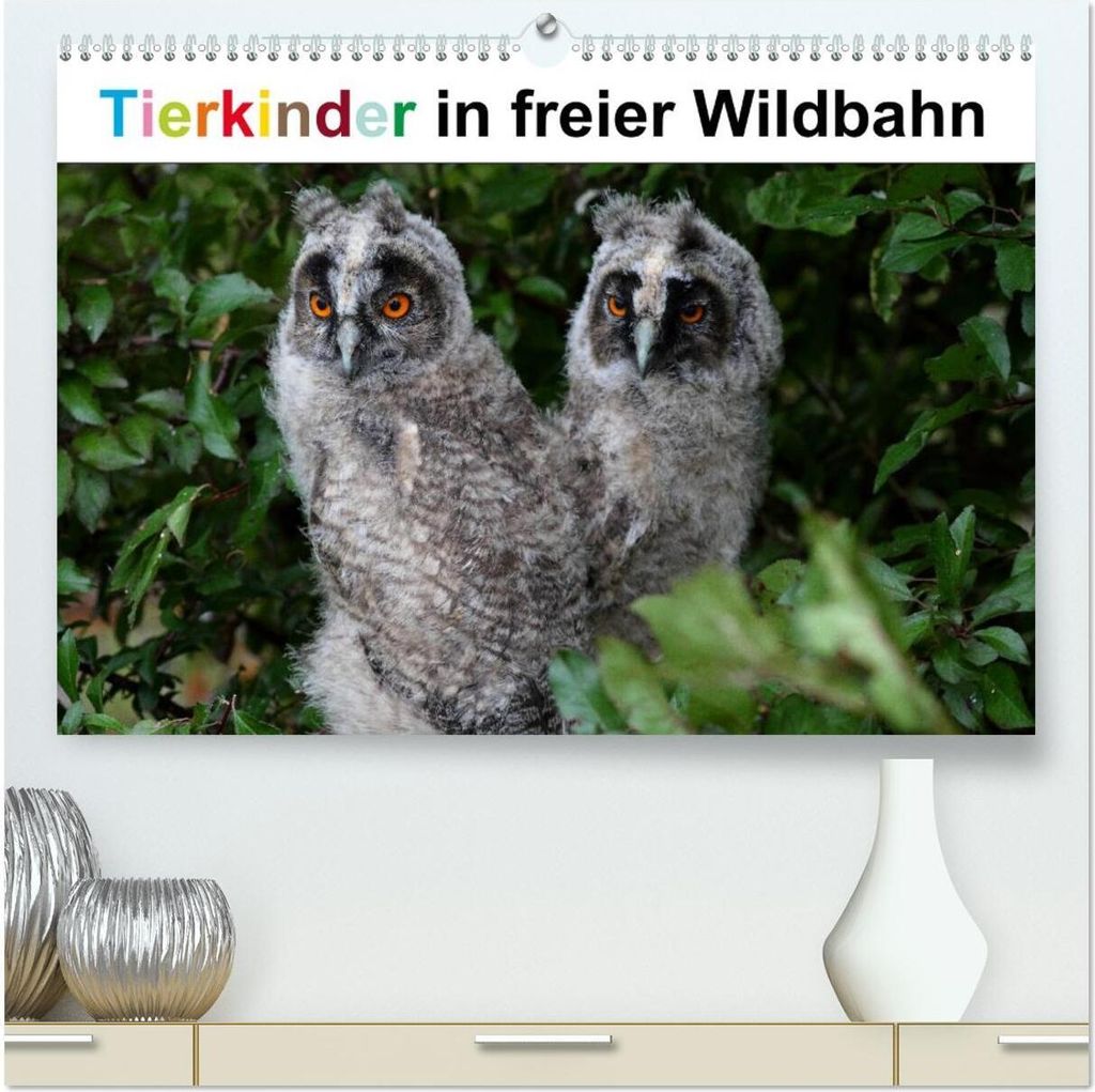 Tierkinder in freier Wildbahn (hochwertiger Premium Wandkalender 2026 DIN A2 quer), Kunstdruck in Hochglanz