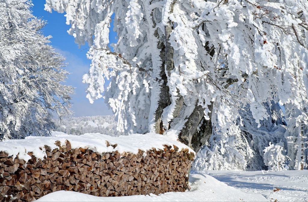 hansepuzzle 49653 - Winterlandschaft Puzzle, 500 Teile, Natur, 46,0 x 30,0cm mit hochwertiger Aufbewahrung, Kartonbox & Beutel