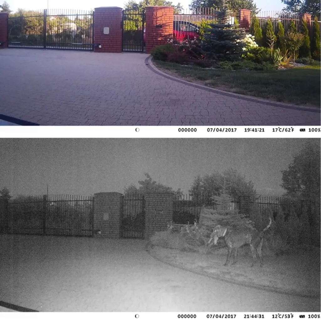 Telecamera per animali selvatici Secutek SST-550A - 9