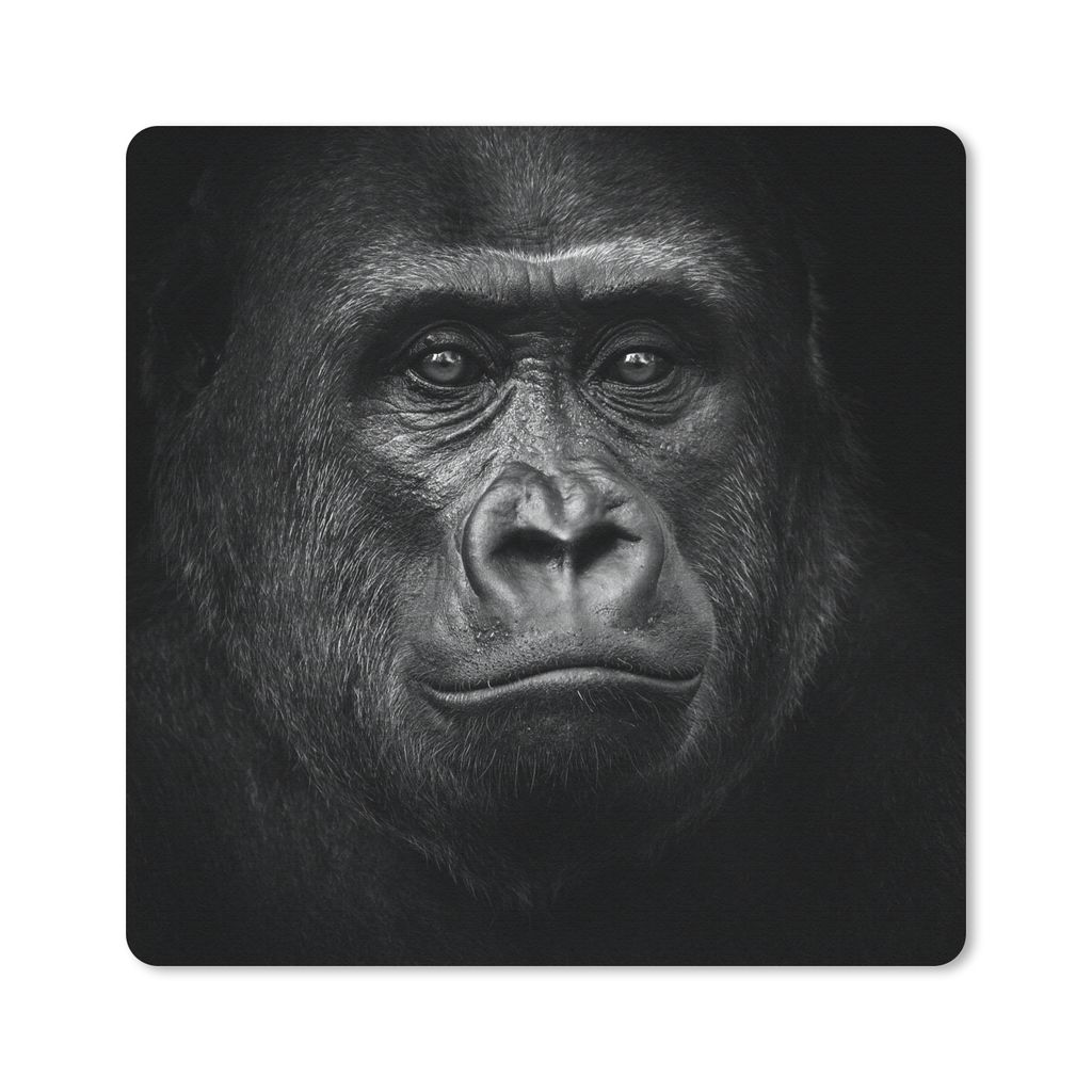 MuchoWow Mauspad Mousepad Gorilla - Schwarz - Weiß - Tiere - Porträt 20x20 cm - Mousepads - Maus Mat - Pad - Mausunterlage - Desk Mat - Bureaua...