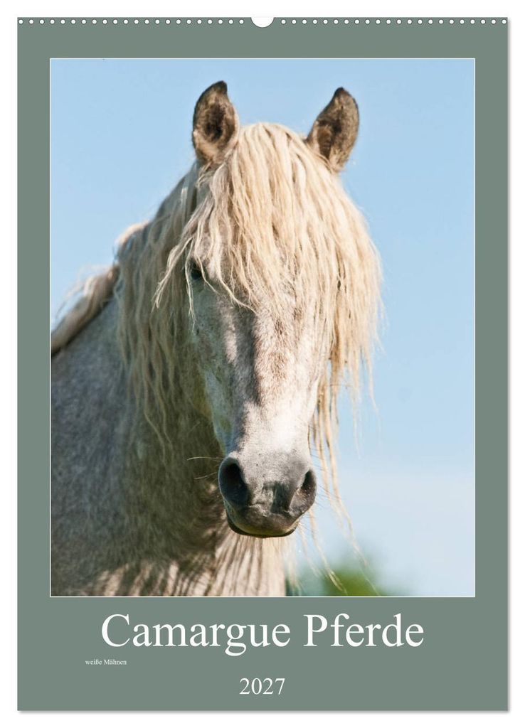 Camargue Pferde - weiße Mähnen (Wandkalender 2027 DIN A2 hoch), CALVENDO Monatskalender