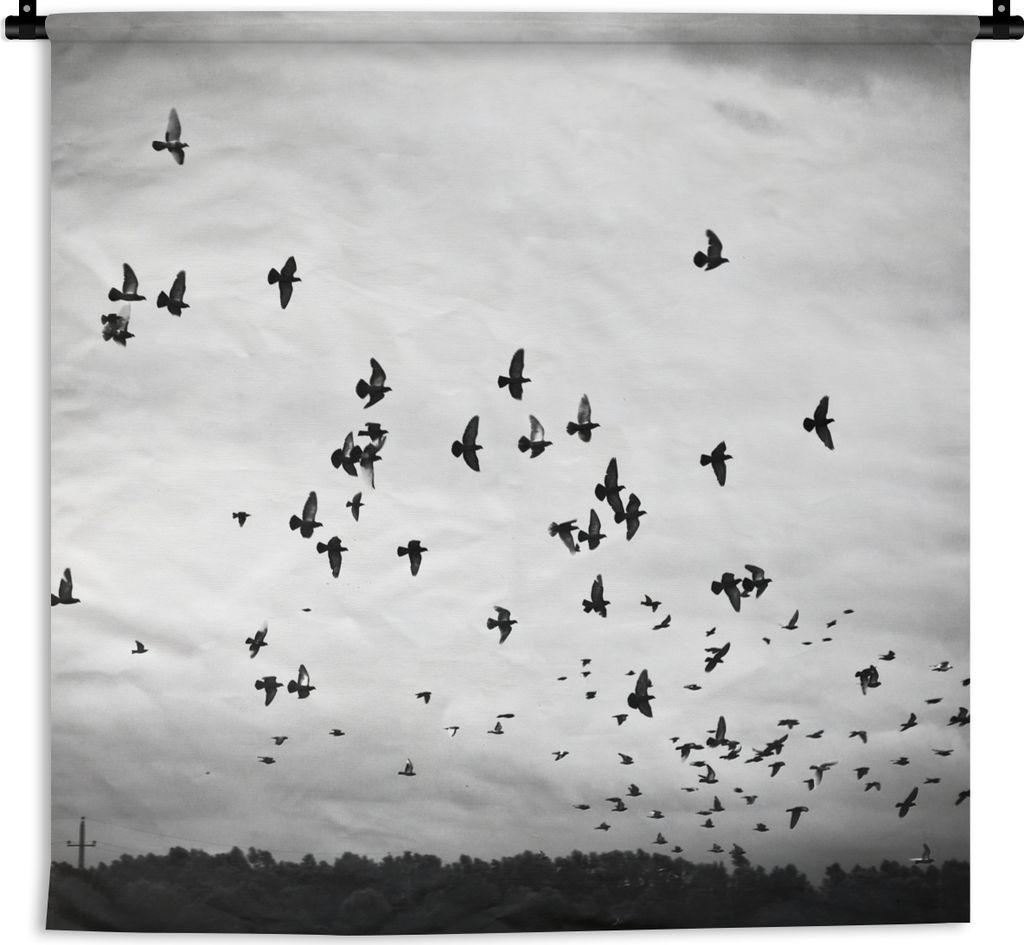 MuchoWow Wandteppich Wandbehang Tiere - Vögel - Wolken - Schwarz - Weiß 60x60 cm Tapisserie Dekoration Wandtuch - Dekorationen - Wand Decke