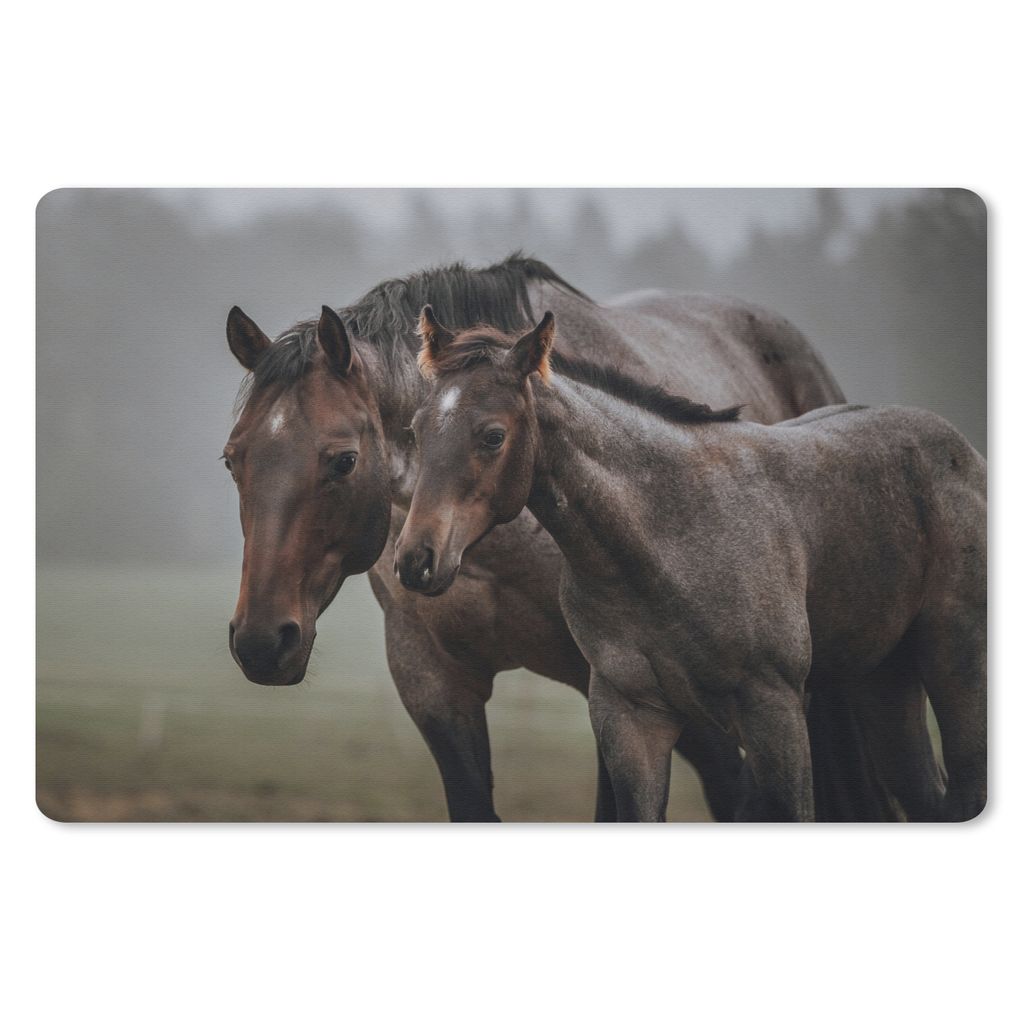 MuchoWow Mauspad Mousepad Pferde - Nebel - Landschaft 27x18 cm - Mousepads - Maus Mat - Pad - Mausunterlage - Büroartikel - Desk Matten