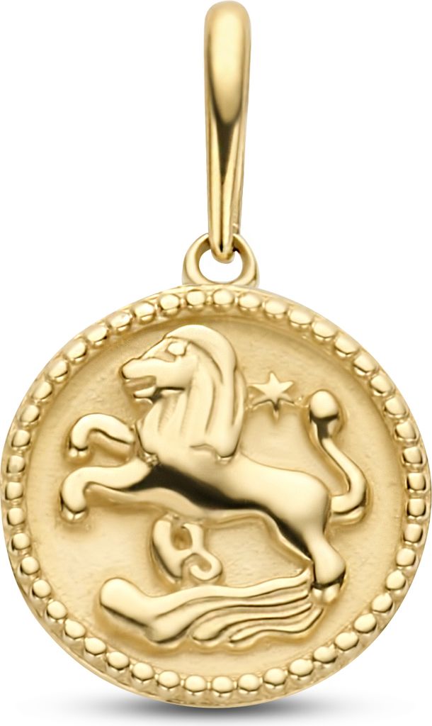 New Bling 9NBG-0275 Gouden Sterrenbeeld - Leeuw - 10 mm Doorsnee - 14 Karaat - Goud