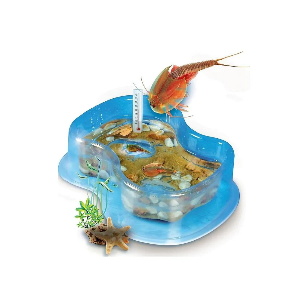 Galileo Original Triops Starter-Set : Kit d'élevage complet de crustacés