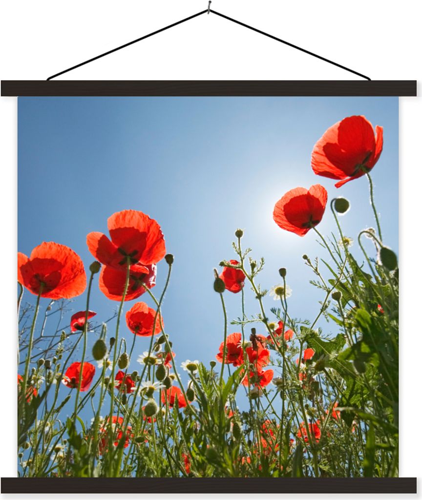 MuchoWow Textilposter Strahlende Sonne über einigen Mohnblumen in Spanien 120x120 cm mit schwarzem Rahmen - Aufhängungsset