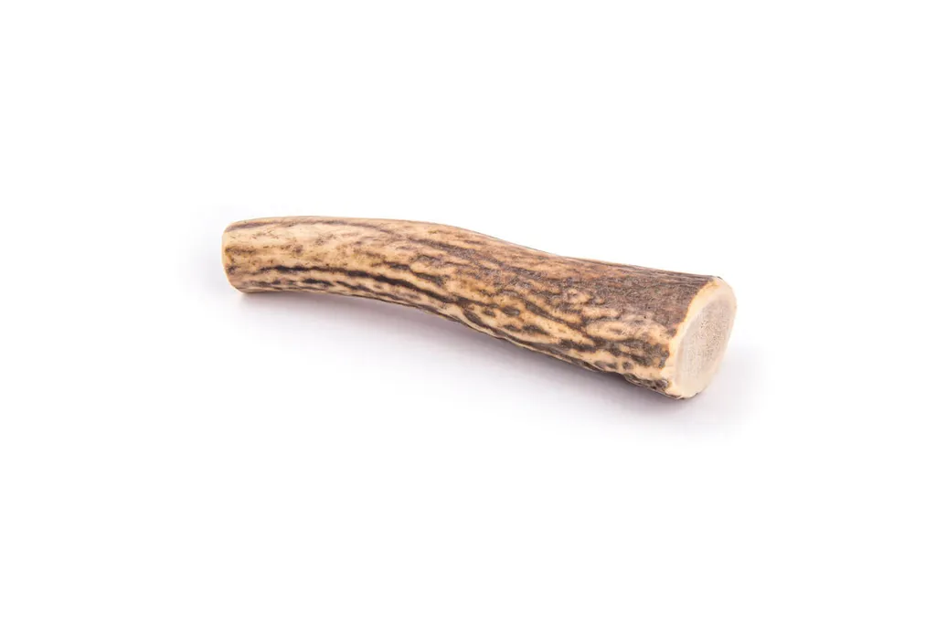 Masticativo 4DOGS Corno di Cervo Hard Taglia M: Igiene Dentale Cane
