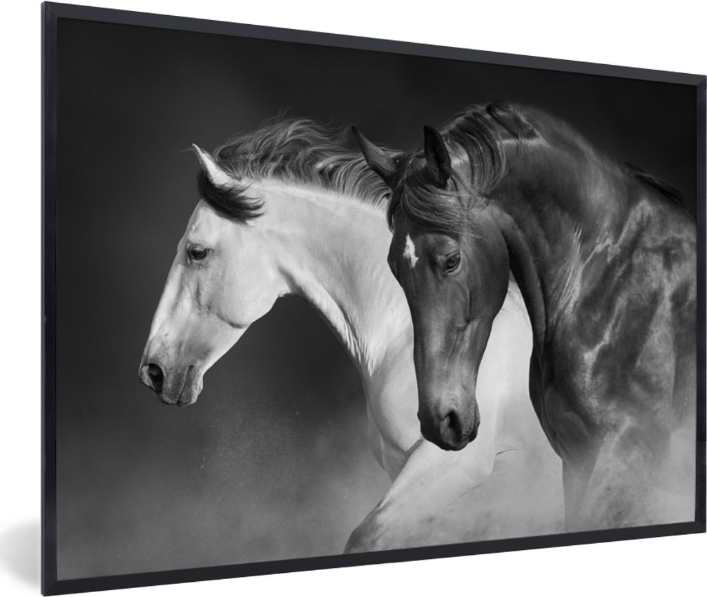 MuchoWow Gerahmtes Poster Pferde - Tiere - Schwarz - Weiß - Porträt 60x40 cm - Poster mit Schwarzem Bilderrahmen Wandposter Rahmen Foto Bilder ...