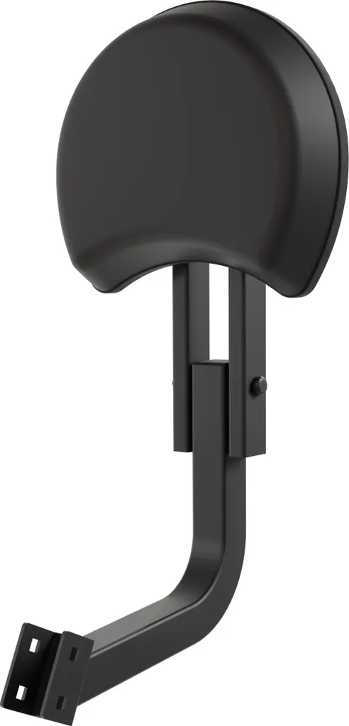 Dossier VirtuFit pour vélo d'appartement : Support lombaire DB100-XB100i