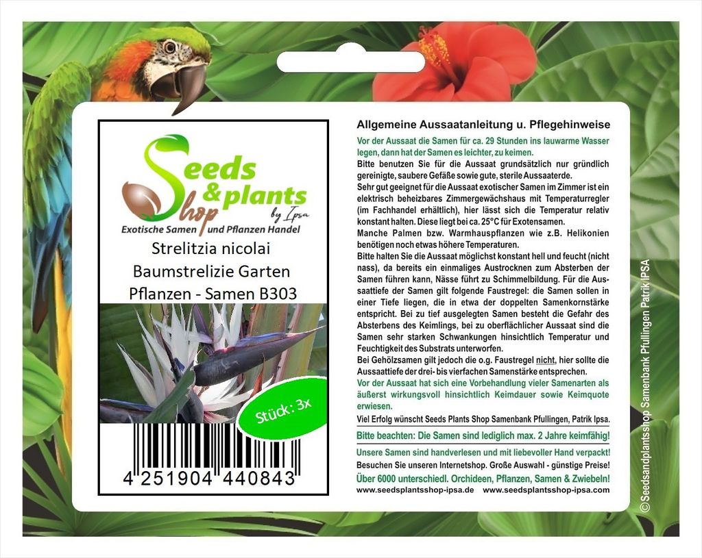 3x Strelitzia nicolai Baumstrelizie Garten Pflanzen - Samen B303