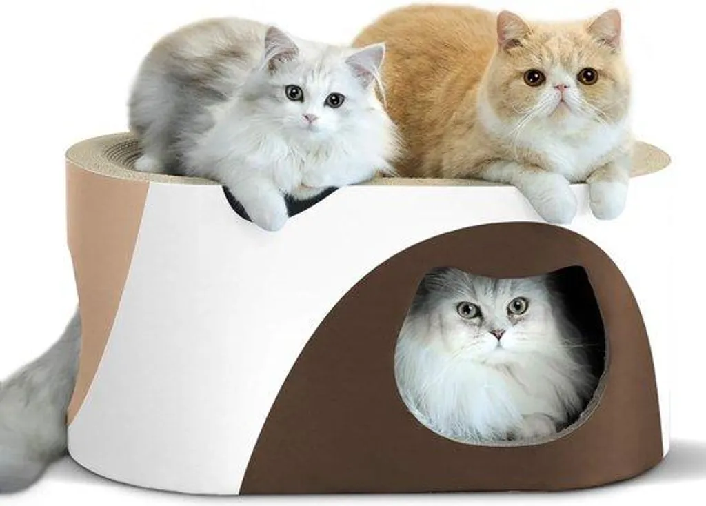 Lit Grattoir pour Chat Ovale en Carton - Canapé d'angle de 58 x 31 cm