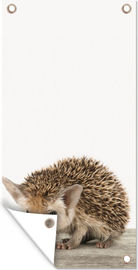 MuchoWow 80x160 cm Outdoor-Poster Gartendeko Sichtschutz Garten Poster für den Garten Igel - Tiere - Jungen - Mädchen
