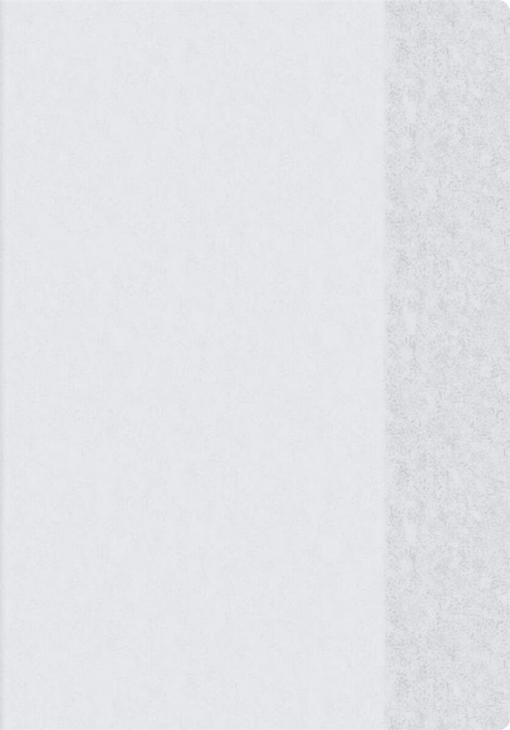 BRUNNEN 104054599 Pochette transparente pour cahier Image du produit 