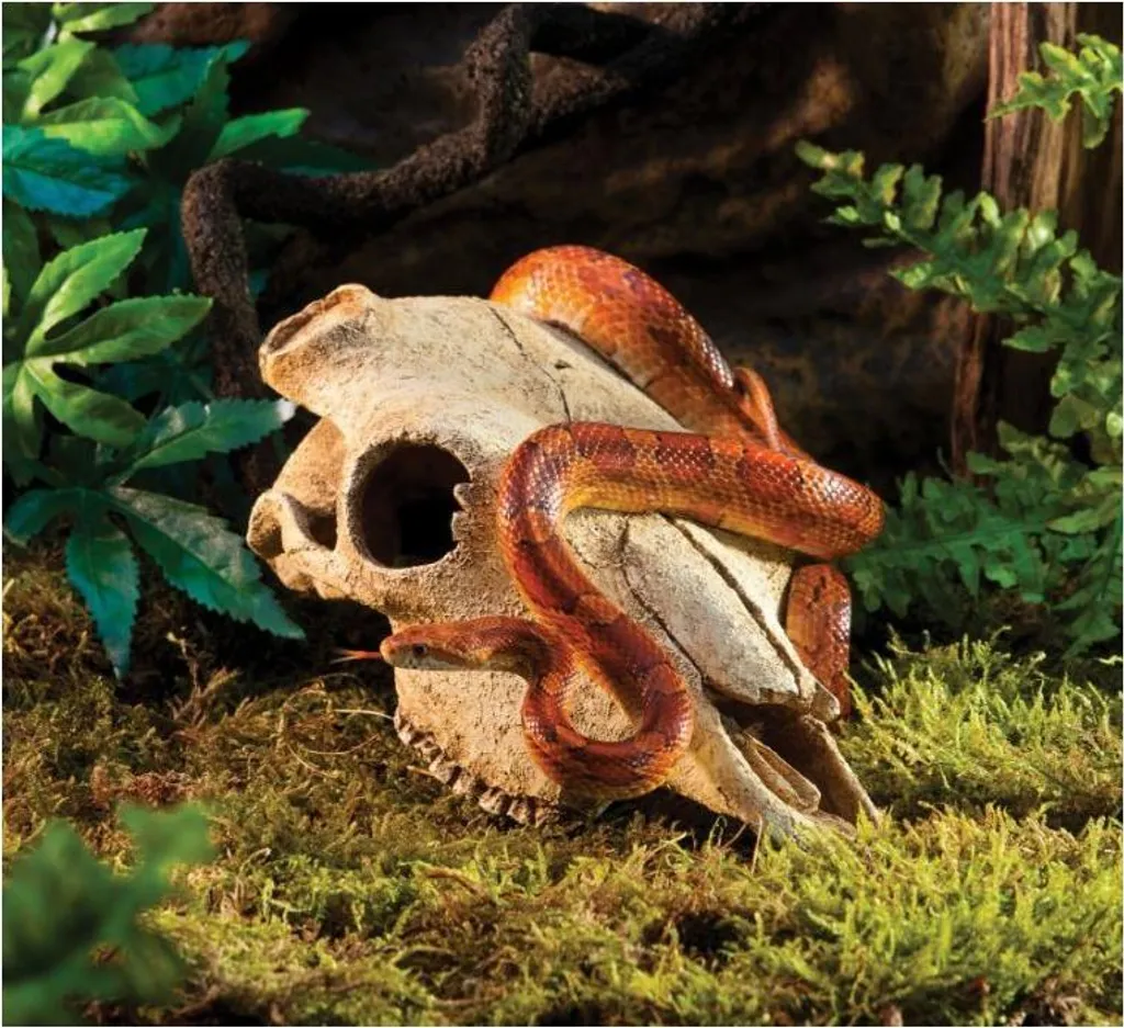 Crâne de Buffle Exo Terra : Cachette Réaliste Facile à Nettoyer - 4