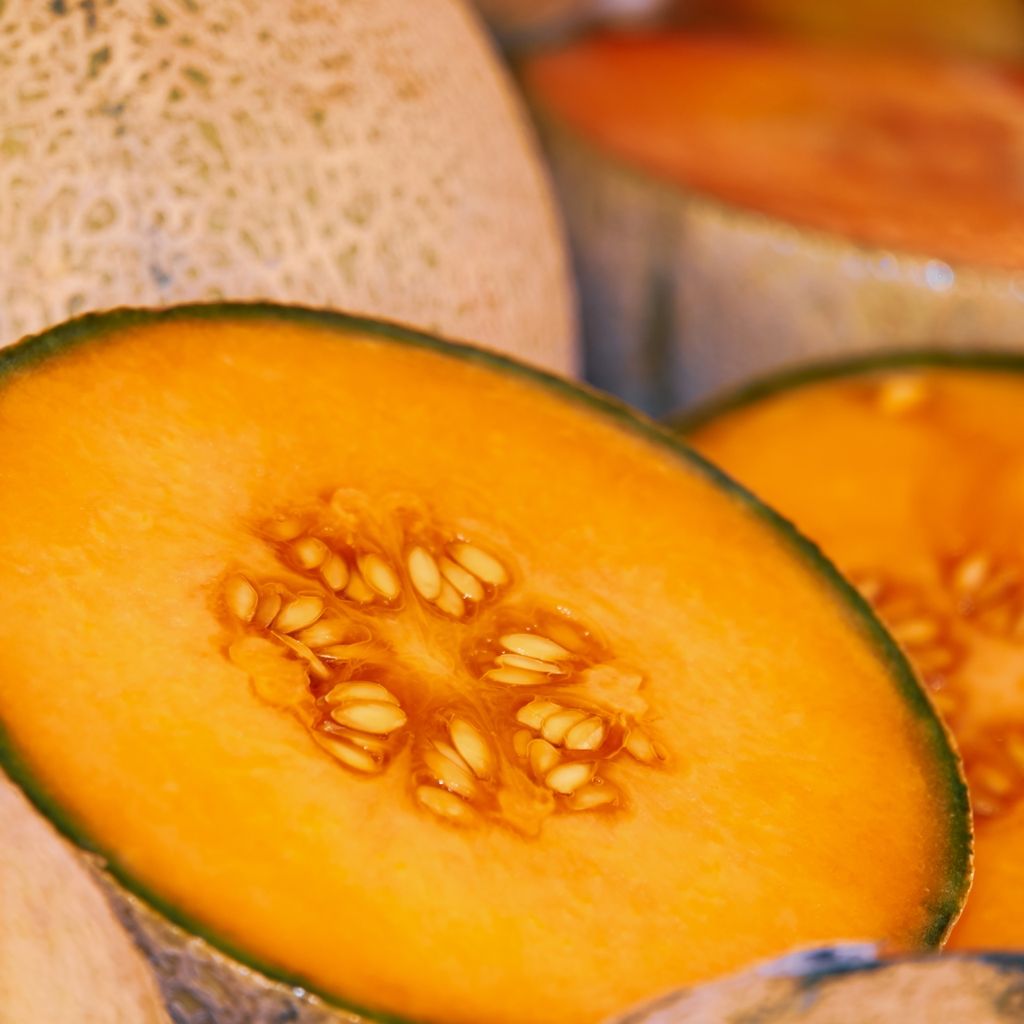 Zuckermelonen Charentais Samen - Cucumis melo - Produktbild 7