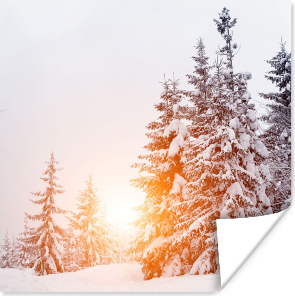 MuchoWow® Poster Sonne - Bäume - Schnee 75x75 cm - Wand Produktbild 