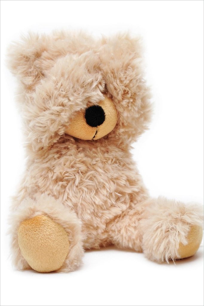 Wallario Poster - Süßer Teddybär, Kunstdruck Größe: 61 x 91,50 cm